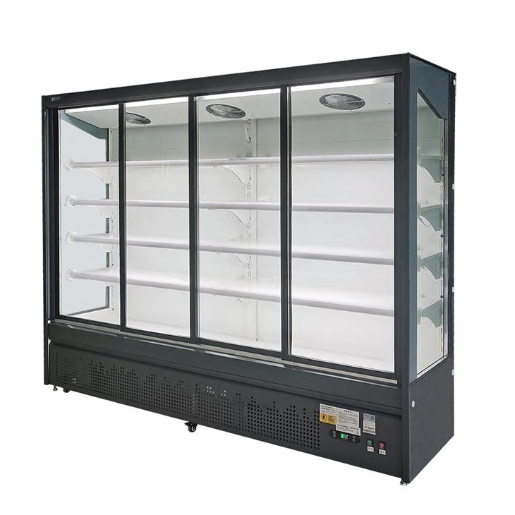 Display Refrigerator Vertical Beverage Cooler